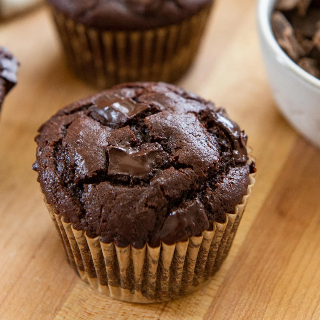 Chocolate Muffin